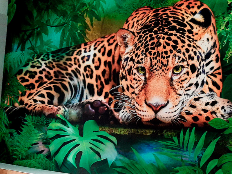 decoro-giaguaro